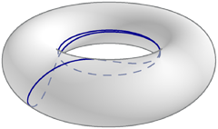 [torus with geodesic asymptotic to inner equator]