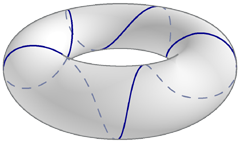 [torus with a geodesic that loops five times in the v direction as it makes one loop in the u direction]